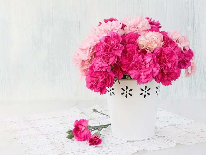 Claveles de color rosa brillante en florero blanco
