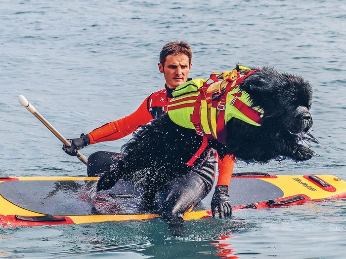 Italian School of Water Rescue Dogs