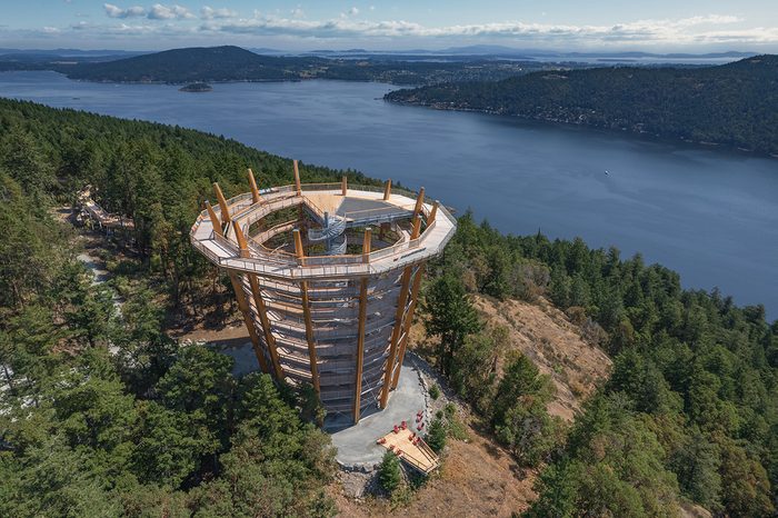 Malahat Skywalk - Things To Do On Vancouver Island