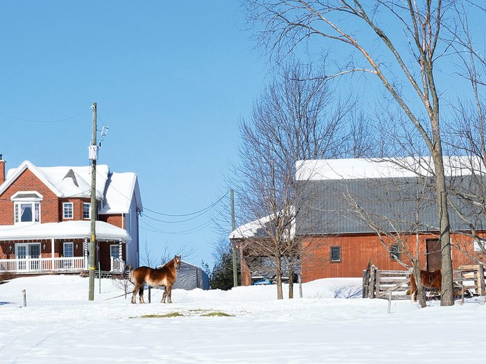 Quebec Eastern Townships 4