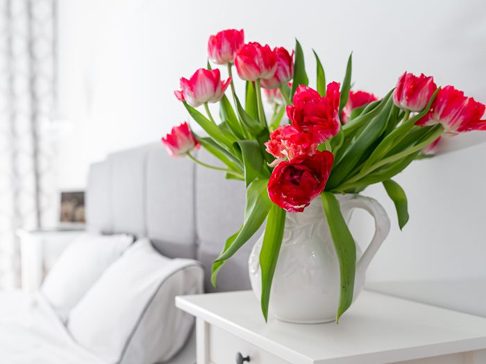 Red and white tulips in white jug