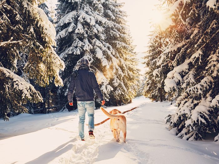 Things to do on Christmas Day - Winter hike with dog