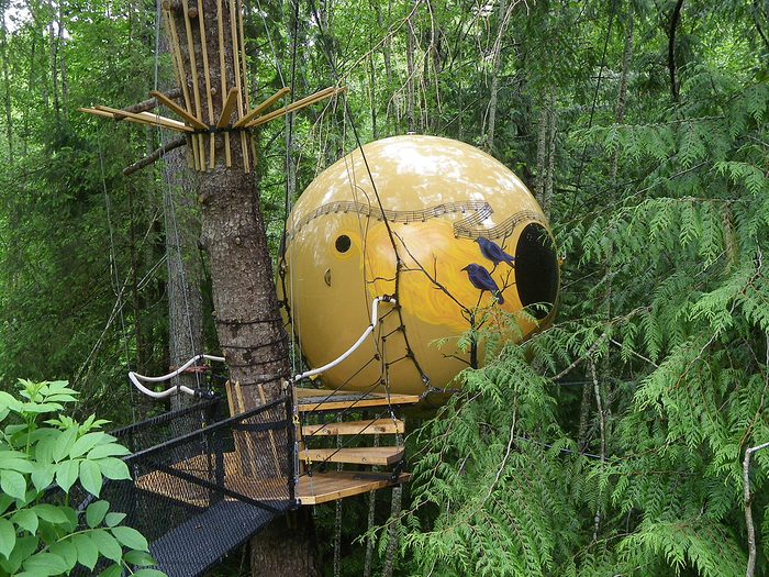 Things To Do On Vancouver Island - Free Spirit Spheres Hotel