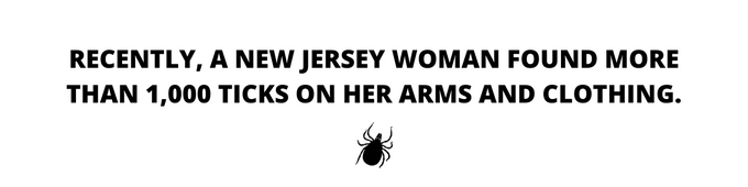 lyme disease in canada - RECENTLY, A NEW JERSEY WOMAN FOUND MORE THAN 1,000 TICKS ON HER ARMS AND CLOTHING.
