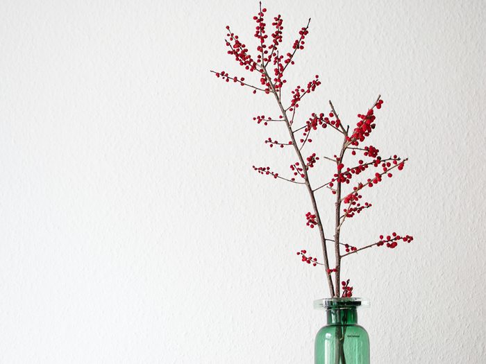 Winterberries branch in vase