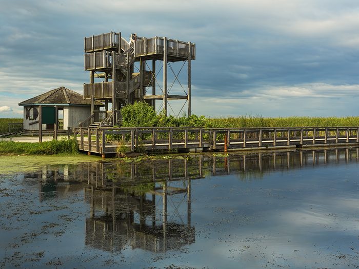 Point Pelee National Park bird-watching stand