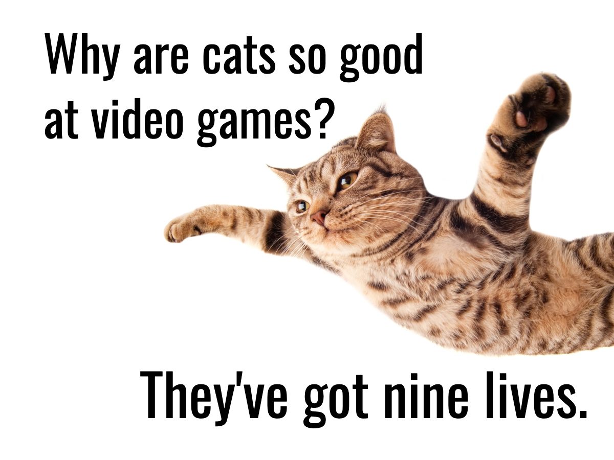 Cat Jokes - Cats Have Nine Lives