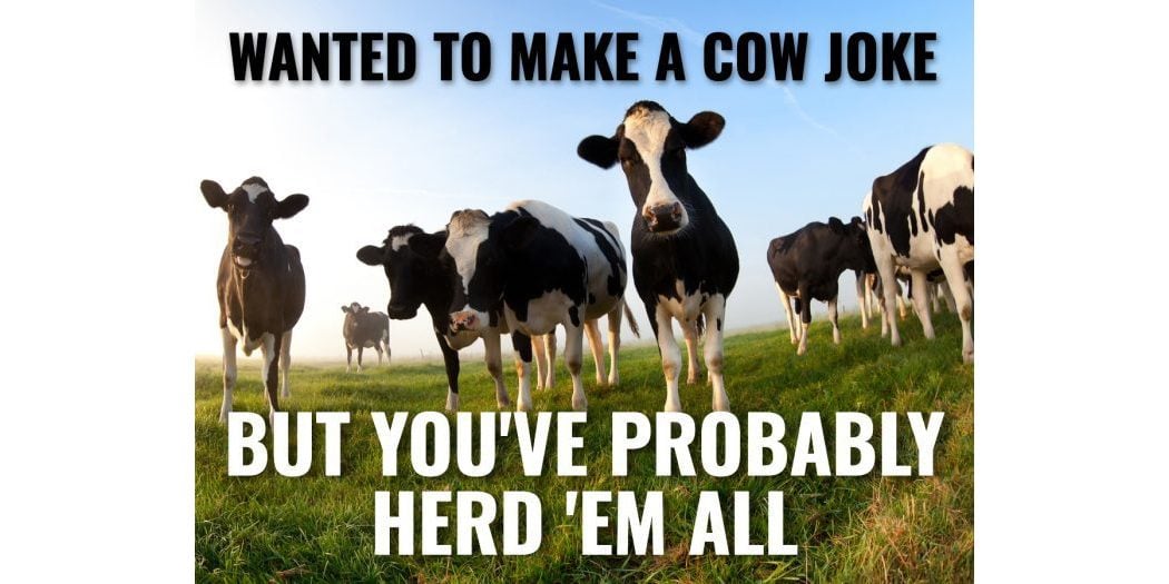 25 Cow Jokes That'll Lighten Your Moo-d | Reader's Digest Canada
