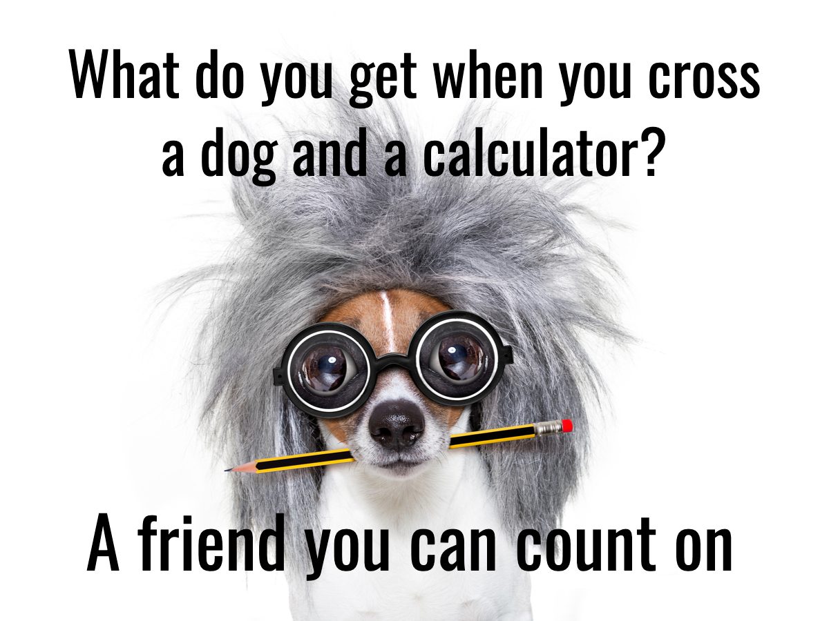 Dog Jokes - Einstein Dog