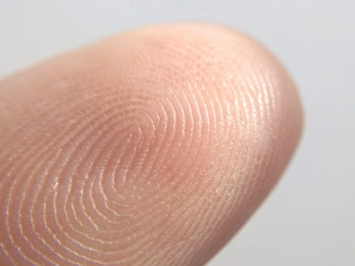 Fingerprint whorl detail