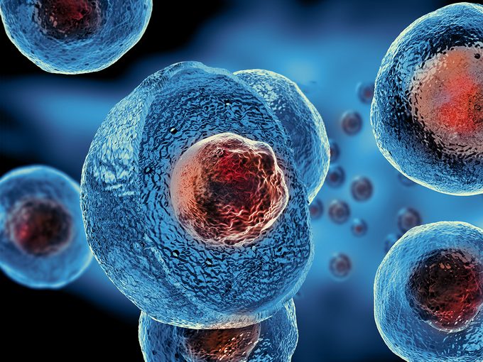 Types of stem cells used in stem cell therapy