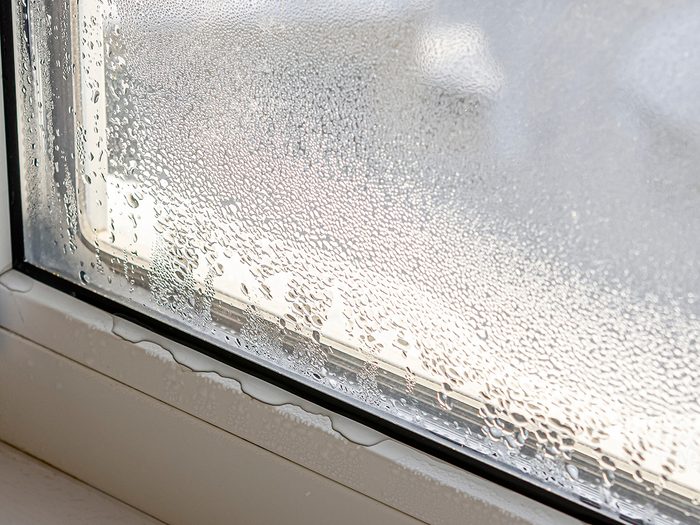 Healthy home - moisture in window