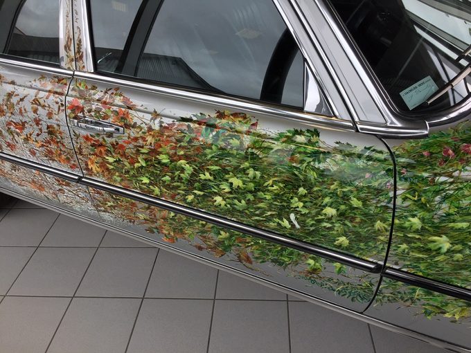Tom Forrestall - A Car For All Seasons Side Panel Detail