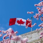 The Best Places To See Cherry Blossoms Across Canada