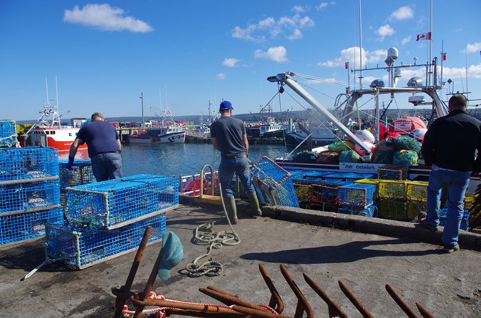 Lobster fishers in Digby, Nova Scotia