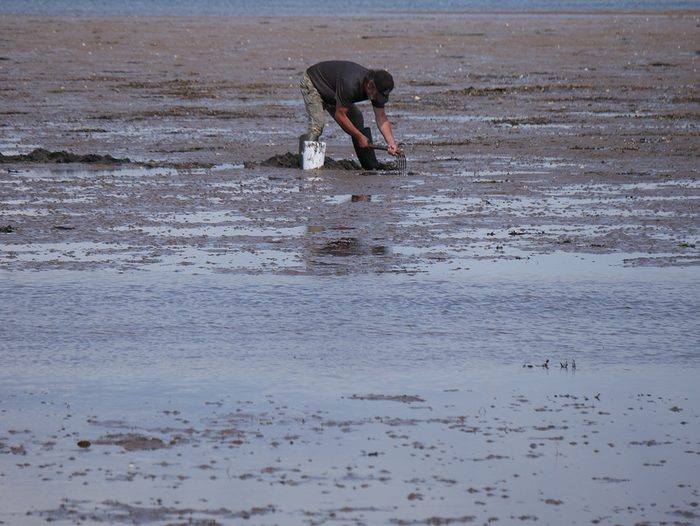 Pictures Of Nova Scotia - Digging For Clams