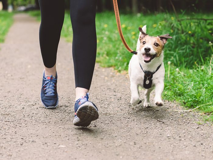 Best pace for daily walk - woman walking dog