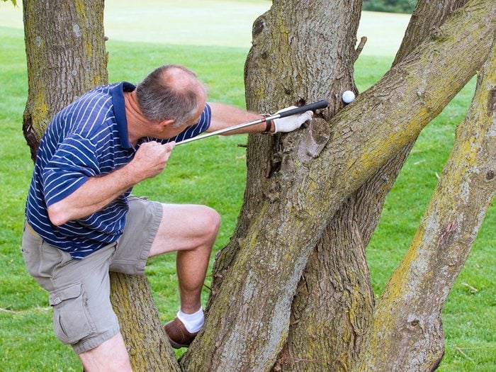 Golfer retrieving ball from tree