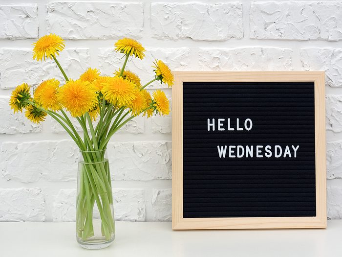 Hello Wednesday sign with dandelions in vase