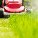 This is the Most Efficient Way to Mow the Lawn