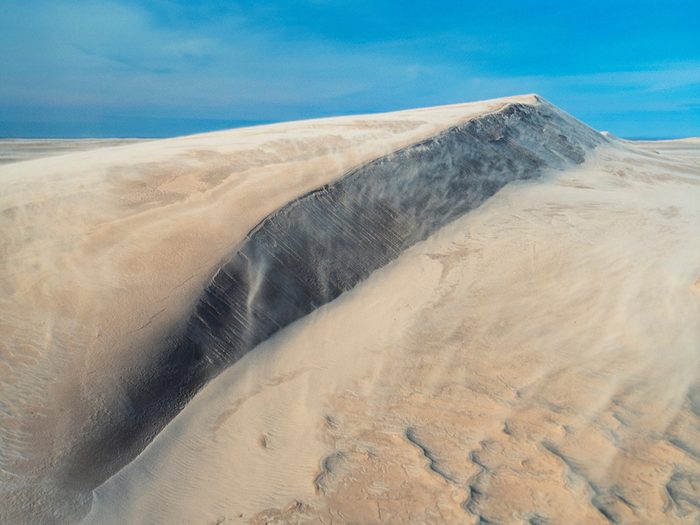 Athabasca Sand Dunes