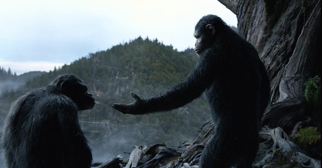 Best Movies On Disney Plus - Dawn Of The Planet Of The Apes