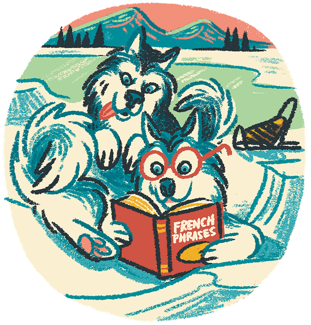 Sled Dogs Reading