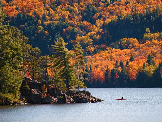 Canoeing in Algonquin Provincial Park