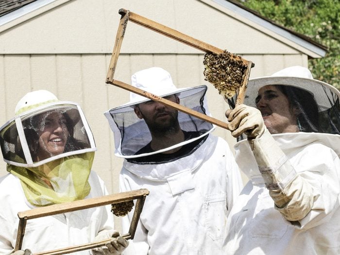 Honey Farm - Honey Onyx Apiary