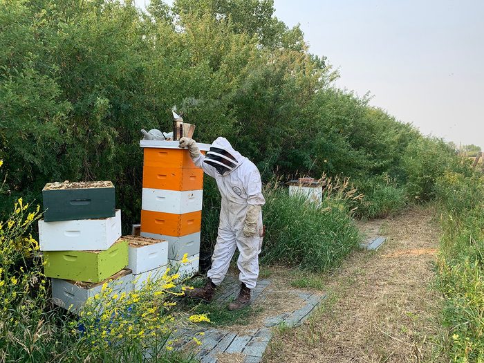 Honey Farm - Uncle Lee's Bees