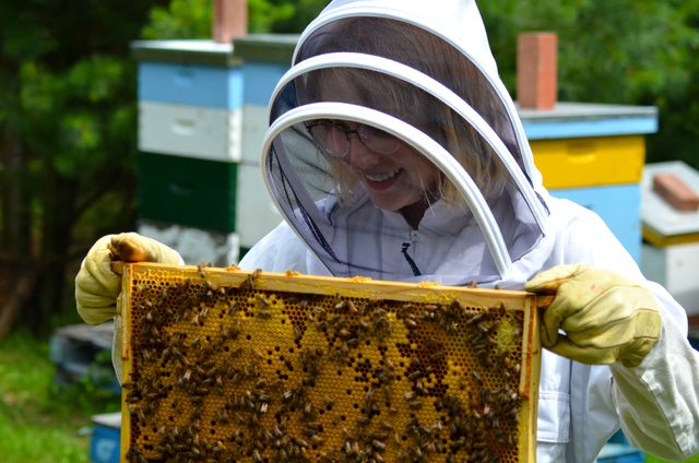Honey Farms Cymbria Apiaries