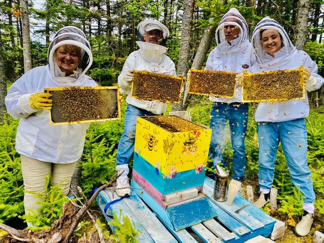 Honey Farms Group Of Beekeepers
