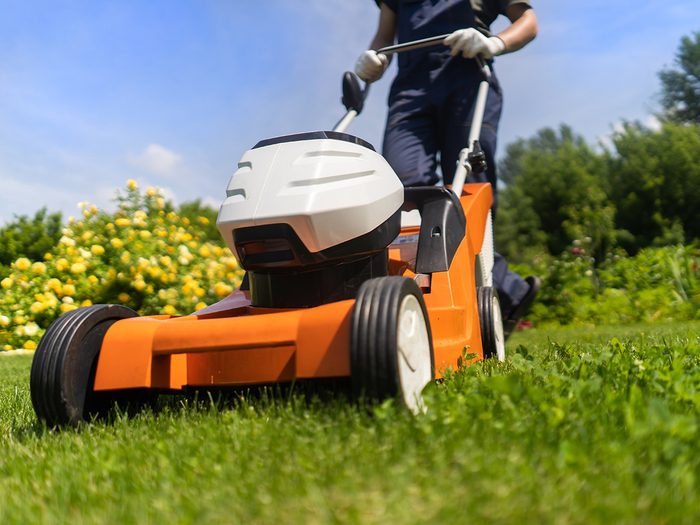 Mowing the lawn in summer