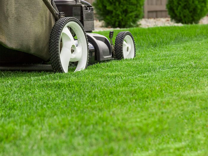 Never do this to your lawn - lawn mower cutting grass