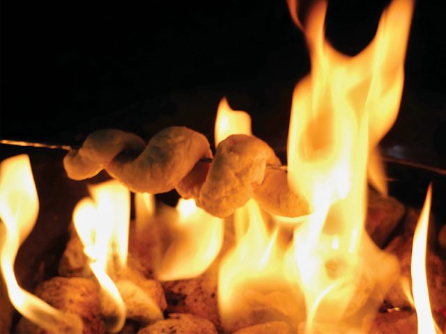 Cooking Australian damper bread over a campfire