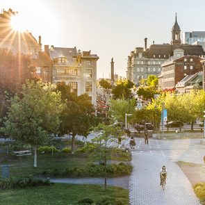 Things To Do In Montreal Summer