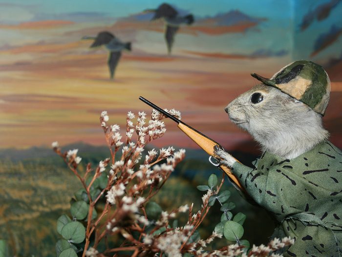 Unusual Museums in Canada - Gopher Hole Museum