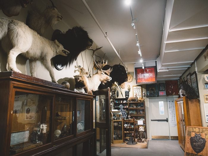 Unusual Museums - Manitoba's Sam Waller Museum