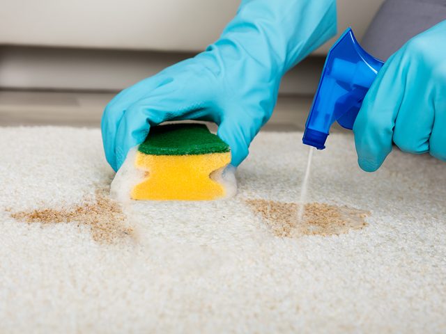 Ammonia uses - cleaning carpet stain