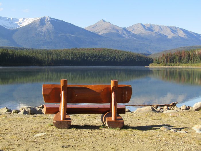 Beautiful Pictures Of Canada Bench At Jasper National Park