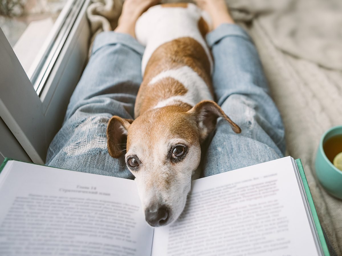 Benefits of reading out loud to dog