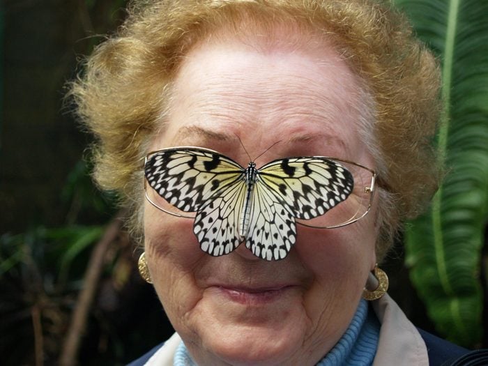 butterfly pictures - butterfly on woman's glasses