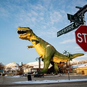 Roadside attractions - T Rex in Drumheller Alberta
