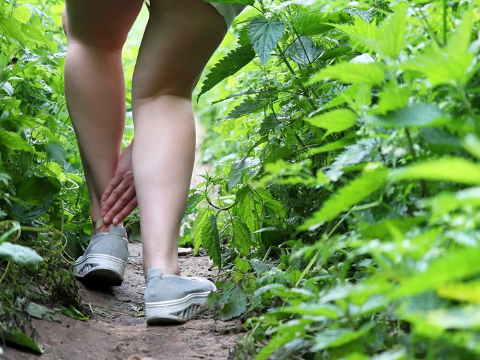 Walking through forest in shorts