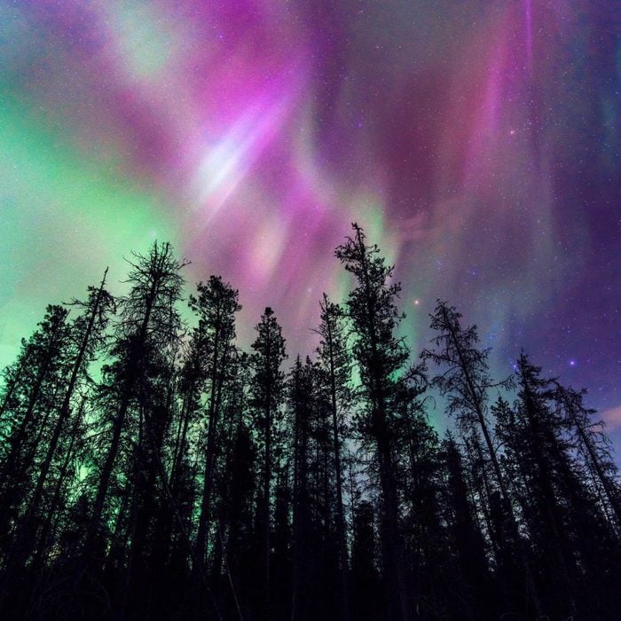 Where To See Northern Lights In Canada Jasper Dark Sky
