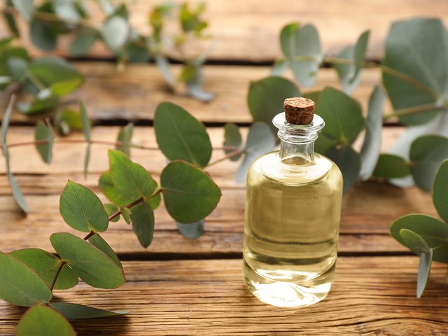 How to deodorize shoes - eucalyptus essential oil