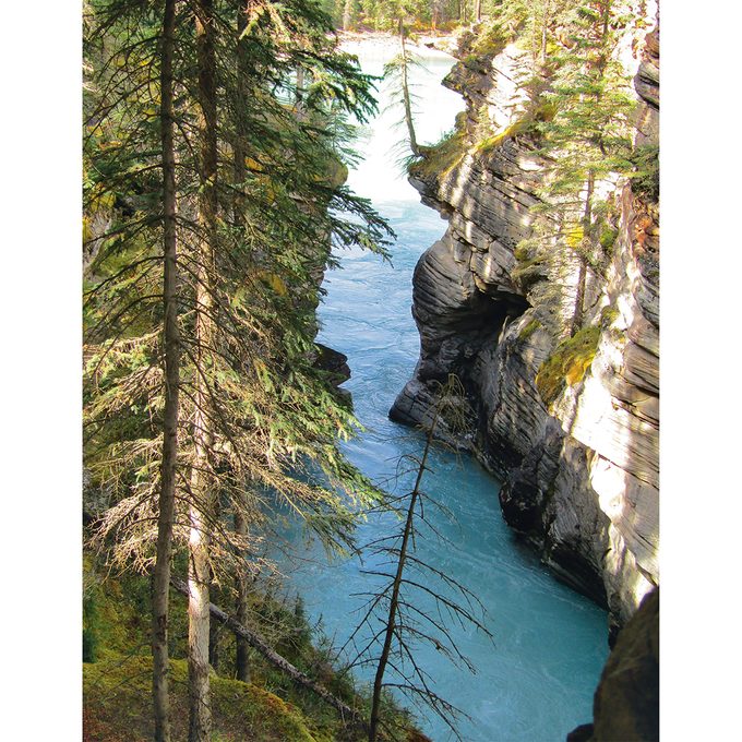 Week Out West - Maligne Canyon
