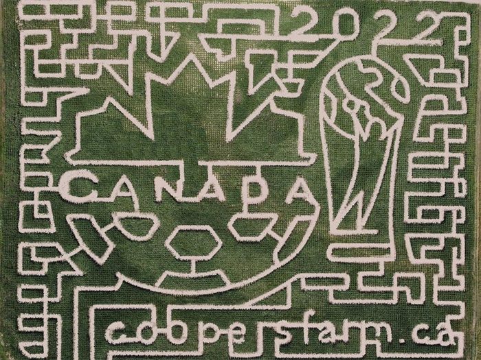 Corn Maze Ontario - Cooper’s Farm & Maze
