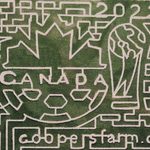 10 Ontario Corn Mazes Worth Getting Lost In