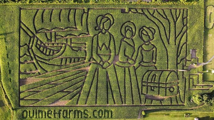 Corn Maze Ontario - Ouimet Farms